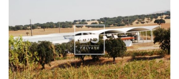 8 bedrooms Land in Elvas, Portugal No. 146472 11