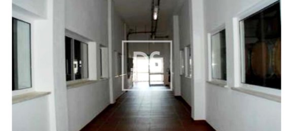 8 bedrooms Land in Elvas, Portugal No. 146472 22