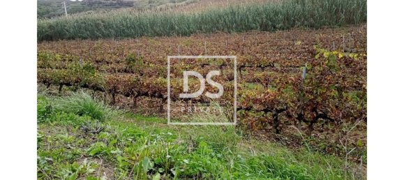 8 bedrooms Land in Elvas, Portugal No. 146472 6