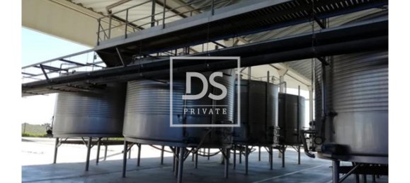 8 bedrooms Land in Elvas, Portugal No. 146472 19