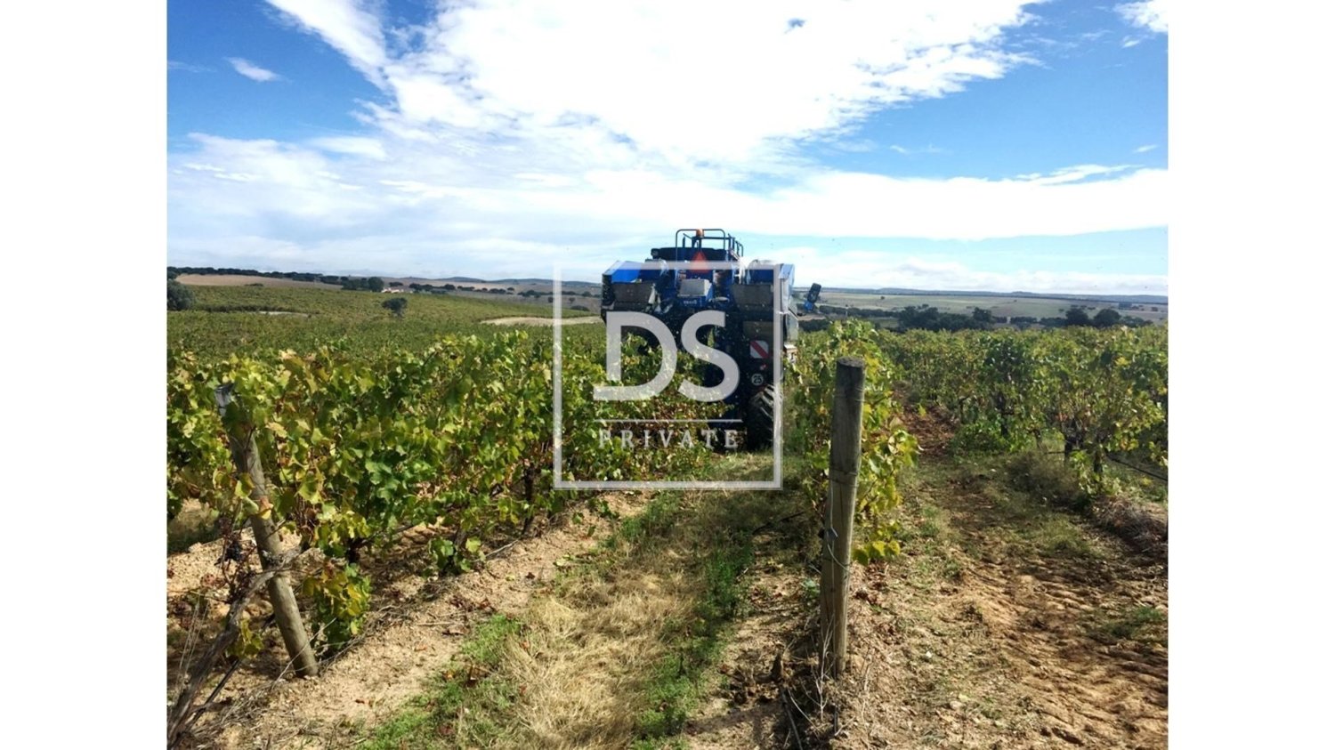 8 bedrooms Land in Elvas, Portugal No. 146472