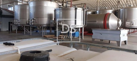 8 bedrooms Land in Elvas, Portugal No. 146472 15