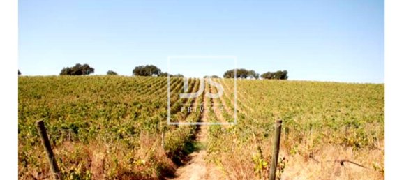 8 bedrooms Land in Elvas, Portugal No. 146472 8