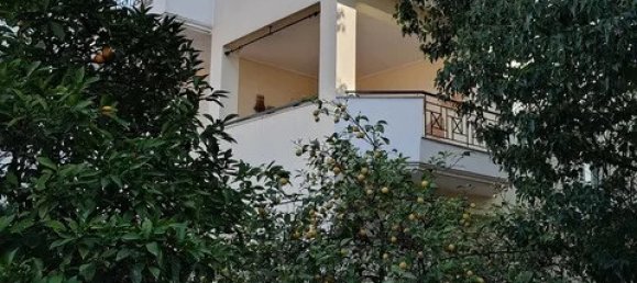 4 chambres propriété commerciale à vendre à Kalyvia Thorikou, Saronikos, East Attica, Attica, Greece № 52838 8