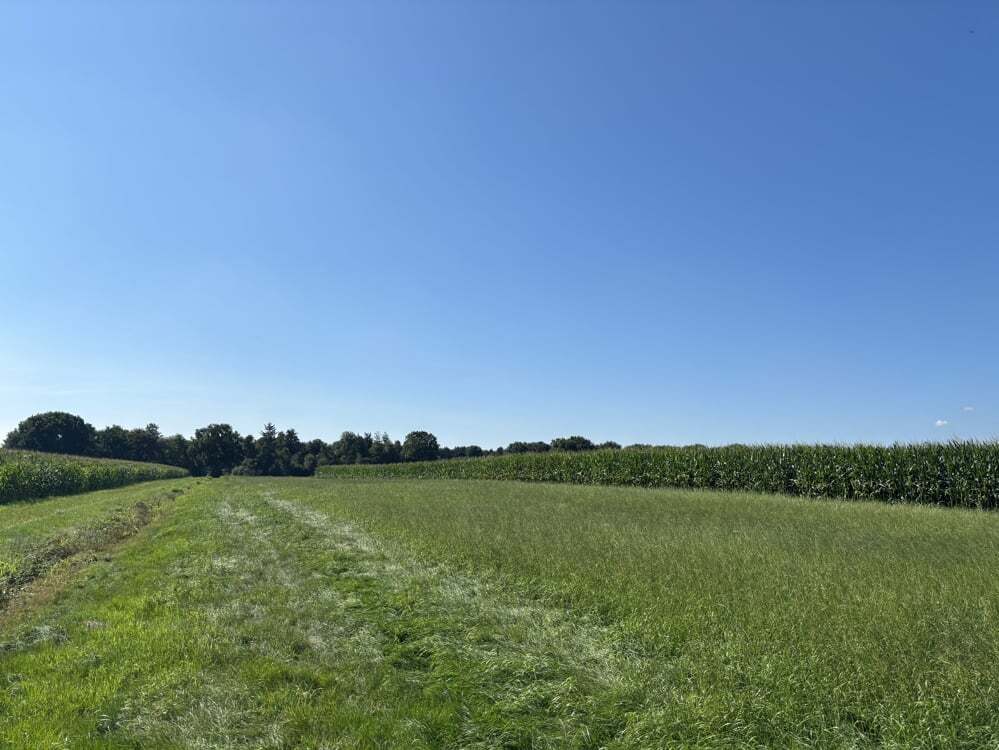 Grundstück in Ammerland, Germany 66754m², Nr. 331707