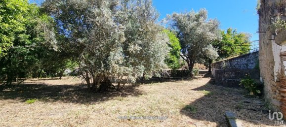25 chambres Maison à Alpalhao, Portugal No. 190475 9