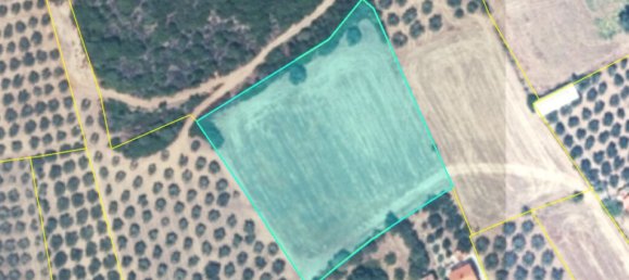 4959m² Hotel in Chalkidiki, Greece No. 54234 2