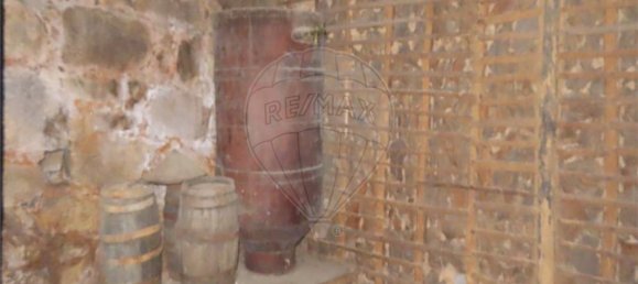 4 bedrooms House in Lardosa, Portugal No. 32804 9