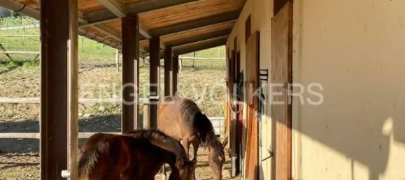 6 bedrooms House in Mergo, Italy No. 66178 22