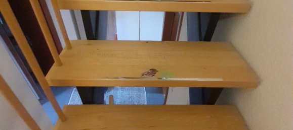 Moradia em banda T2 em Vorpommern-Greifswald, Germany N.º 217844 13