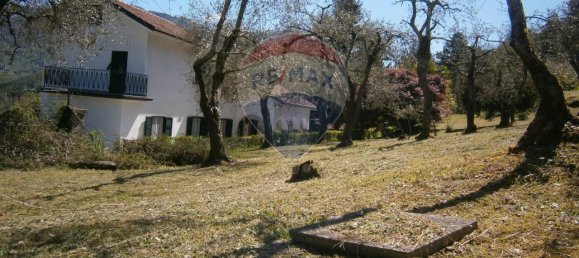 6-Zimmer Villa in Borzonasca, Italy, Nr. 105390 11