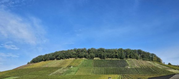 Таунхаус с 4 комнатами в Хайльбронн, Германия № 1093 3