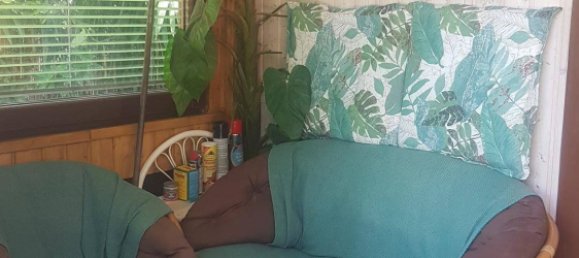 Casa de 3 habitaciónes en Zillingdorf, Austria No. 214558 23