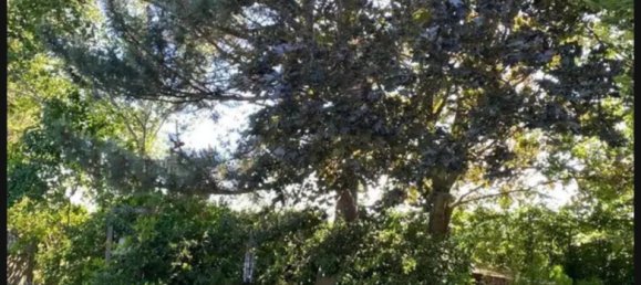 3 bedrooms House in Soest, Germany No. 336550 4