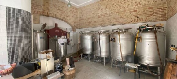 Gewerbliche Immobilie in San Severo, Italy 120m², Nr. 22375 3