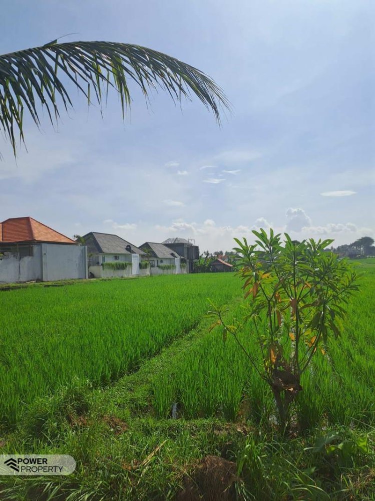  قطعة أرض في Cemagi, Indonesia 1000متر مربع رقم 4014