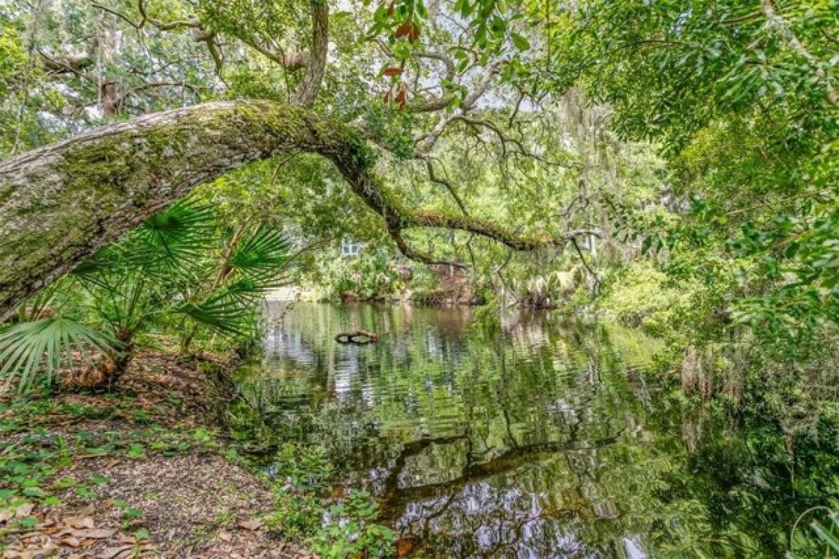 Casa de 2 dormitorios en Fernandina Beach, USA No. 439602
