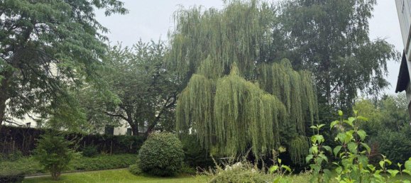 3 rooms Apartment in Ohlsdorf, Austria No. 204335 5