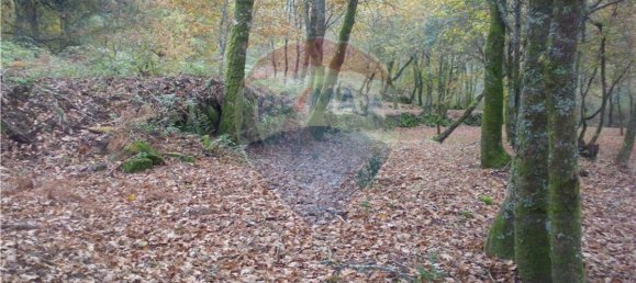 Земельный участок 2200м² в Понти да Барка, Португалия № 65519 10