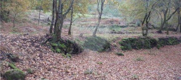 Земельный участок 2200м² в Понти да Барка, Португалия № 65519 13