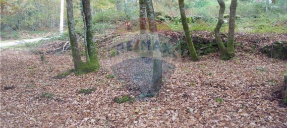 Земельный участок 2200м² в Понти да Барка, Португалия № 65519 9