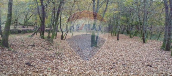 Земельный участок 2200м² в Понти да Барка, Португалия № 65519 7