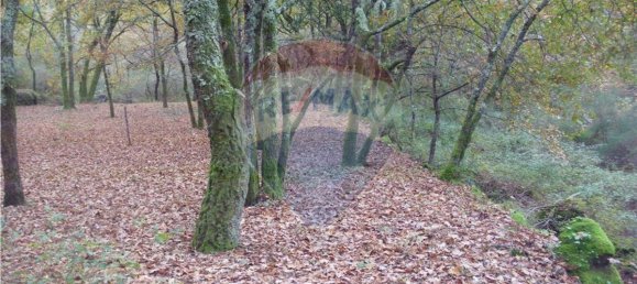 Земельный участок 2200м² в Понти да Барка, Португалия № 65519 4