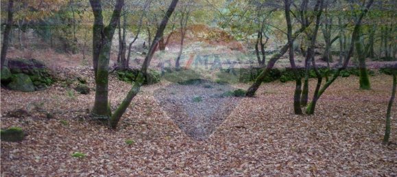 Земельный участок 2200м² в Понти да Барка, Португалия № 65519 8