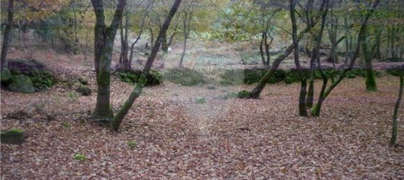 Земельный участок 2200м² в Понти да Барка, Португалия № 65519 15