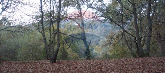 Земельный участок 2200м² в Понти да Барка, Португалия № 65519 5