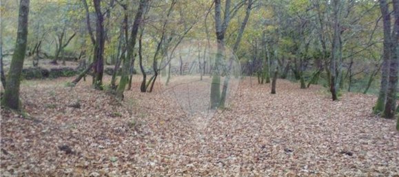 Земельный участок 2200м² в Понти да Барка, Португалия № 65519 14