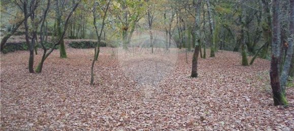 Земельный участок 2200м² в Понти да Барка, Португалия № 65519 17