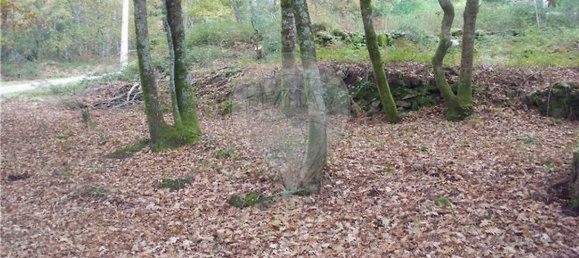 Земельный участок 2200м² в Понти да Барка, Португалия № 65519 18