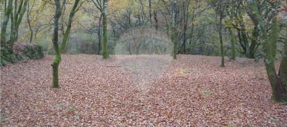 Земельный участок 2200м² в Понти да Барка, Португалия № 65519 20