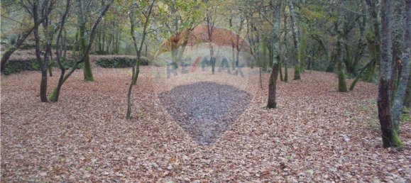 Земельный участок 2200м² в Понти да Барка, Португалия № 65519 2