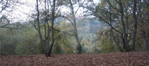 Земельный участок 2200м² в Понти да Барка, Португалия № 65519 22