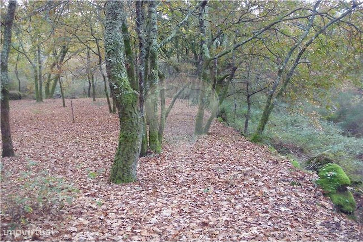 Земельный участок 2200м² в Понти да Барка, Португалия № 65519