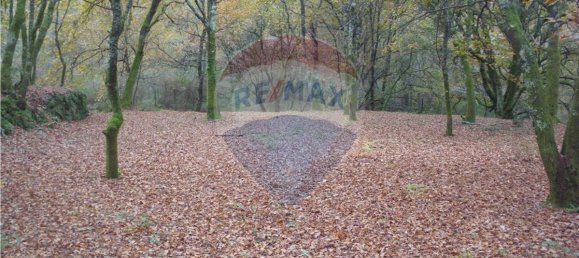 Земельный участок 2200м² в Понти да Барка, Португалия № 65519 11