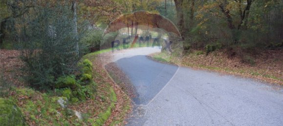 Земельный участок 2200м² в Понти да Барка, Португалия № 65519 12