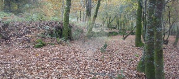 Земельный участок 2200м² в Понти да Барка, Португалия № 65519 21