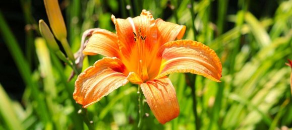 9-Zimmer Stadthaus in Solingen, Germany, Nr. 241408 33