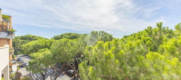 Пентхаус с 4 спальнями в Рим, Италия № 377759 13