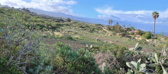 Terreno en Tacoronte, Spain 22334 m² No. 129598 2