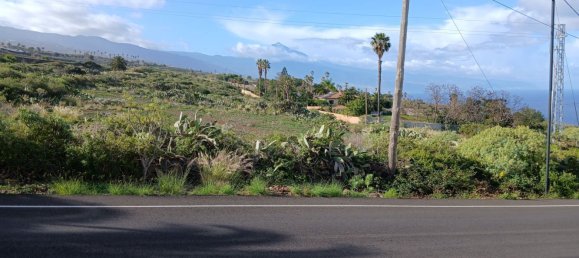 Terreno en Tacoronte, Spain 22334 m² No. 129598 4