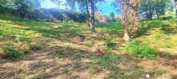 1400m² Land in Brive-la-Gaillarde, France No. 95994 3