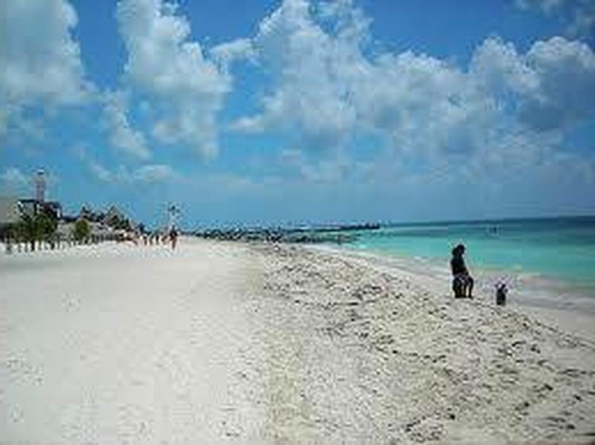  بناية في Mexico 24900متر مربع رقم 200017