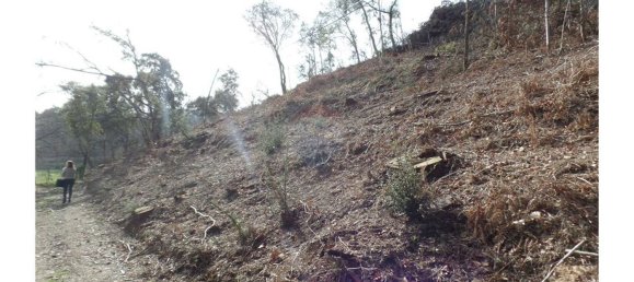 قطعة أرض في Braga, Portugal 7800متر مربع رقم 27319 3