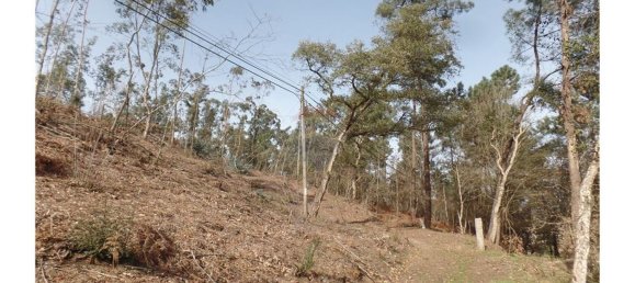 قطعة أرض في Braga, Portugal 7800متر مربع رقم 27319 4