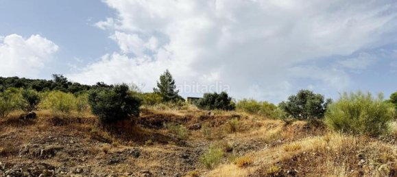 Земельный участок 800м² в Малага, Испания № 169154 13