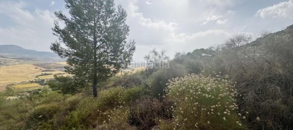 Земельный участок 800м² в Малага, Испания № 169154 11